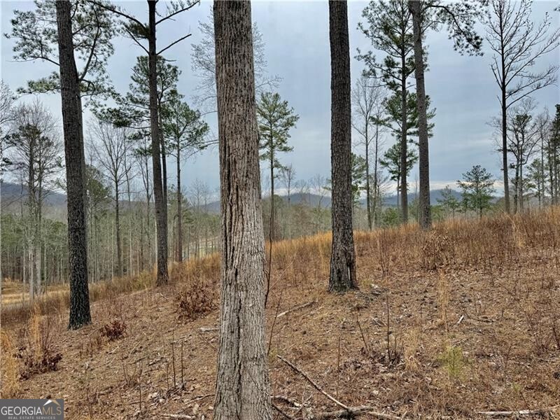 347 Timbercreek Trail Property Photo 10
