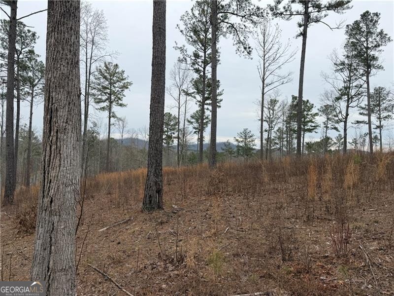 347 Timbercreek Trail Property Photo 11