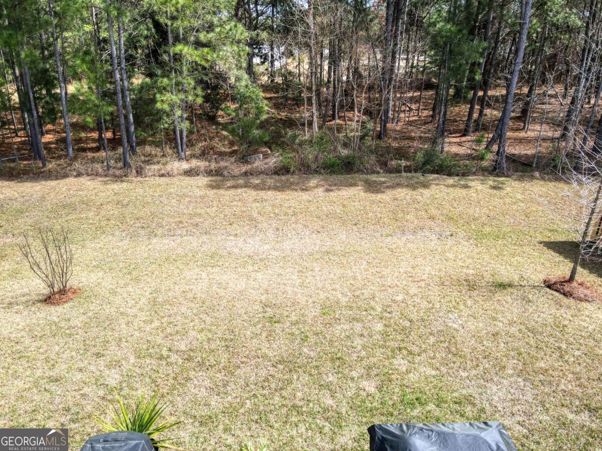 124 Brookline Drive Property Photo 39