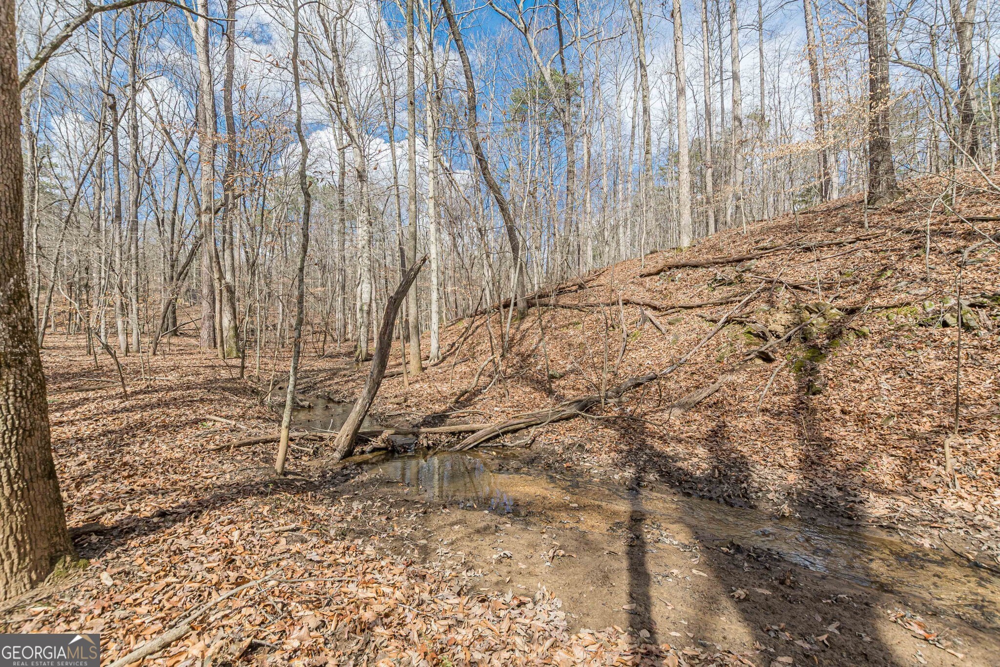 5751 Five Notch Trail Property Photo 4
