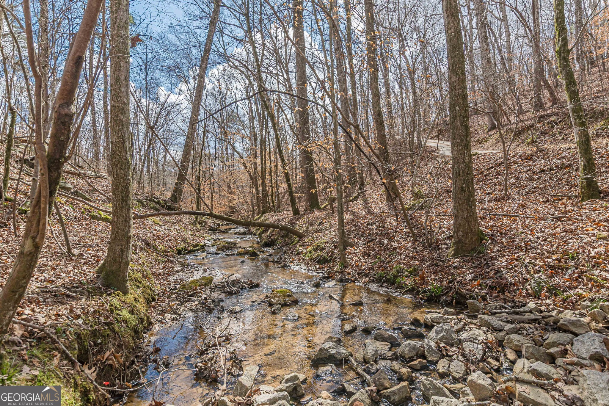 5751 Five Notch Trail Property Photo 6