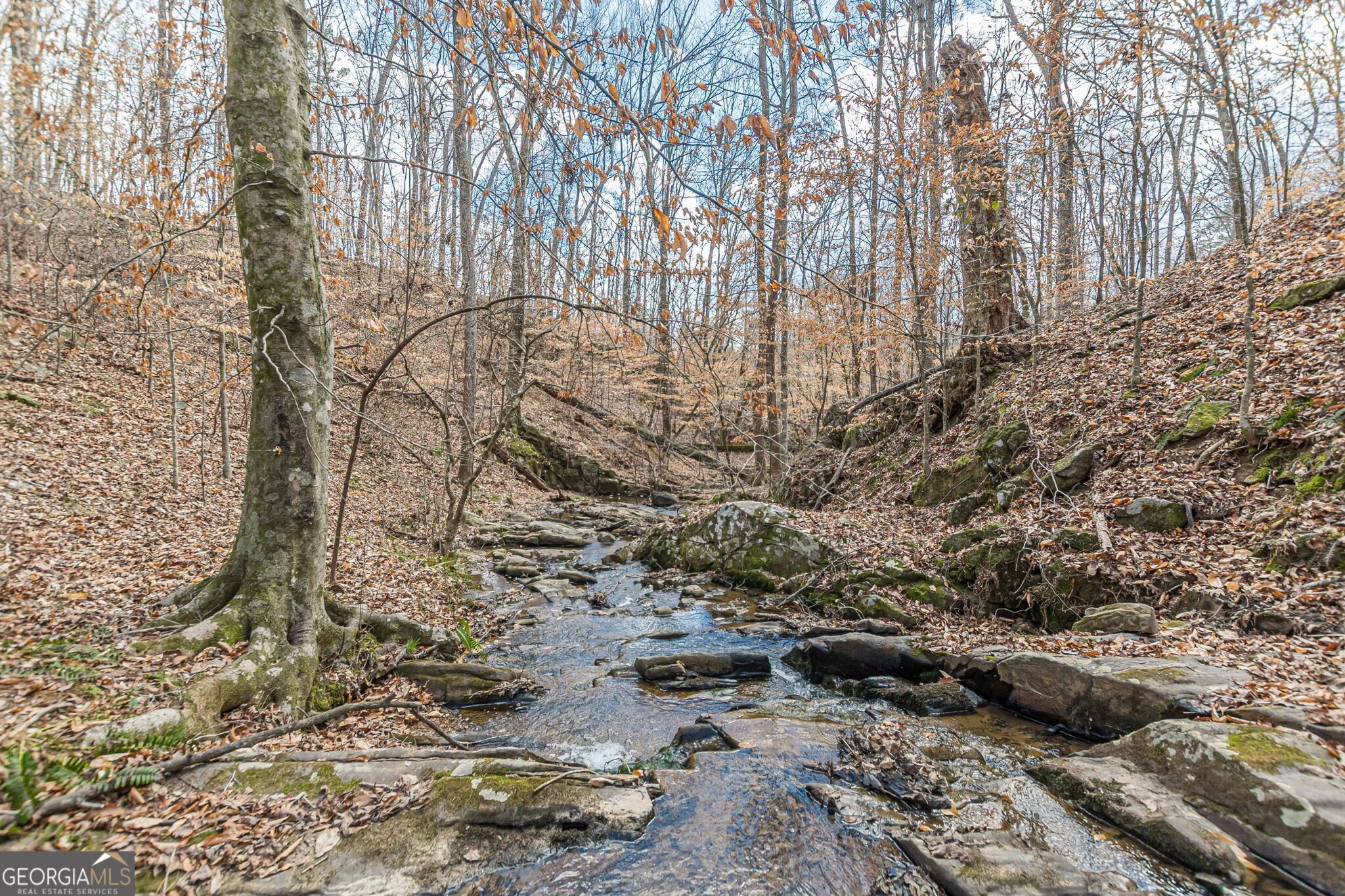 5751 Five Notch Trail Property Photo 8