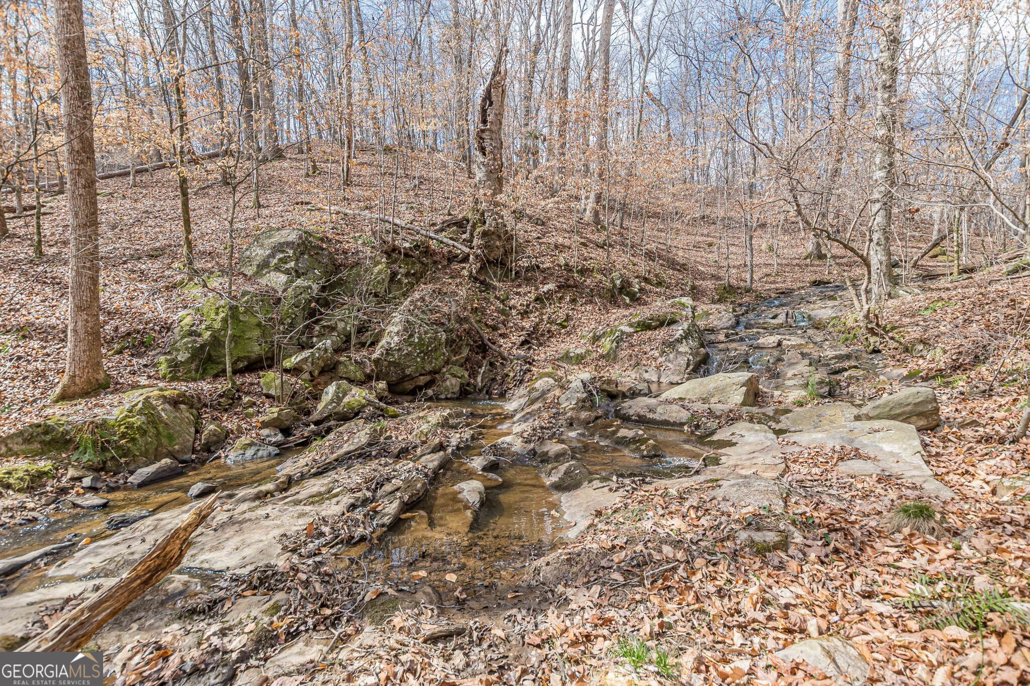 5751 Five Notch Trail Property Photo 9