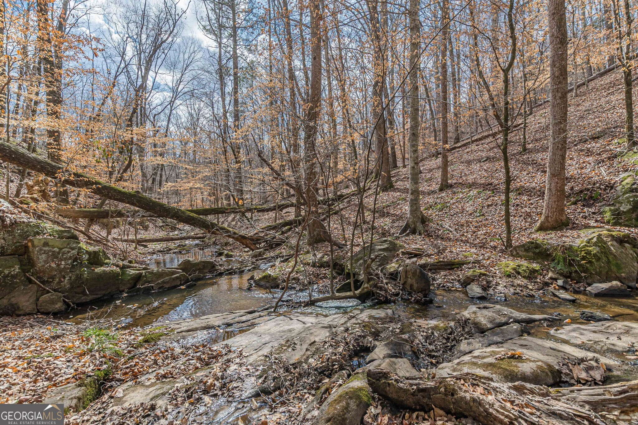 5751 Five Notch Trail Property Photo 10