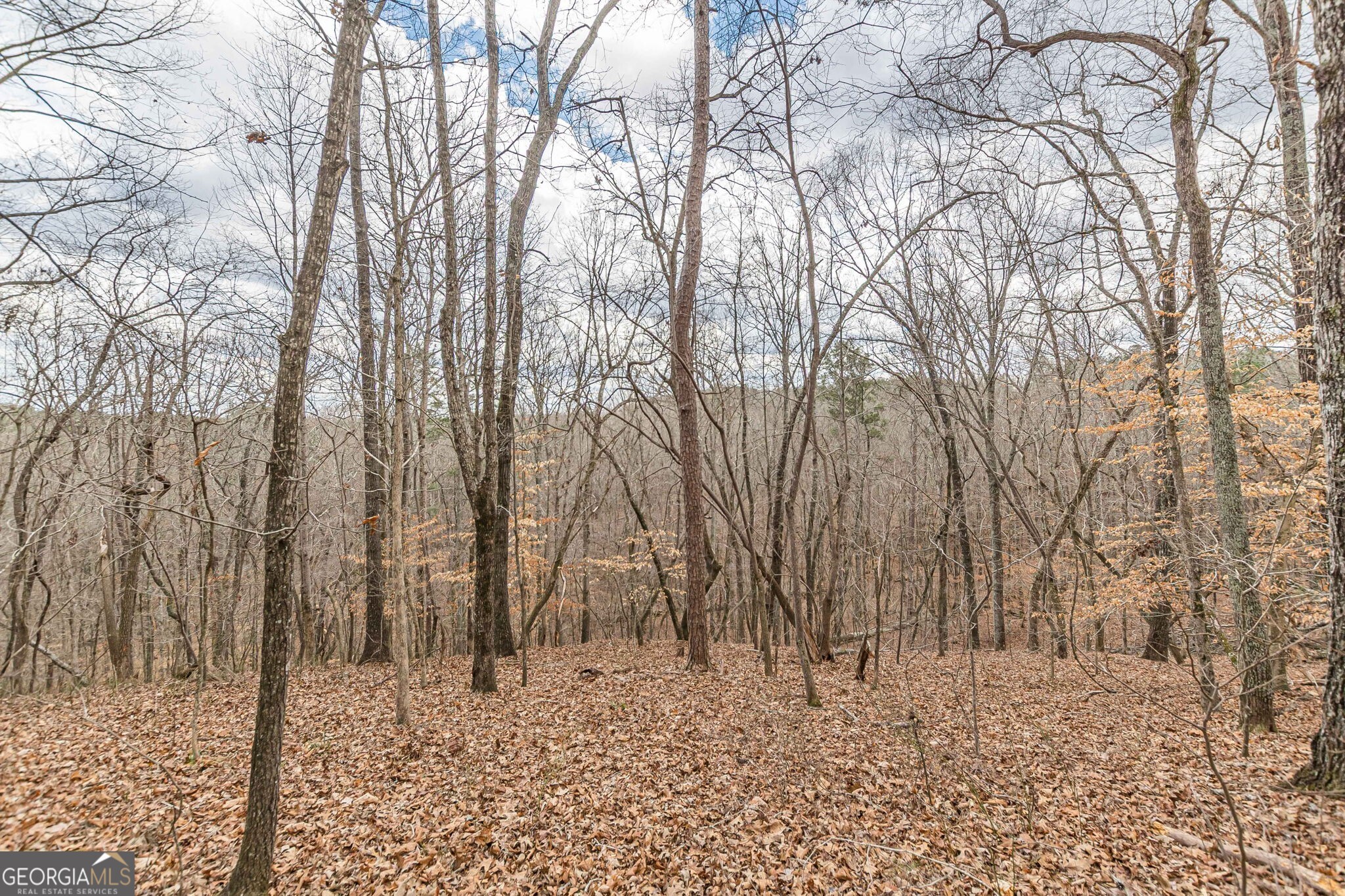 5751 Five Notch Trail Property Photo 12