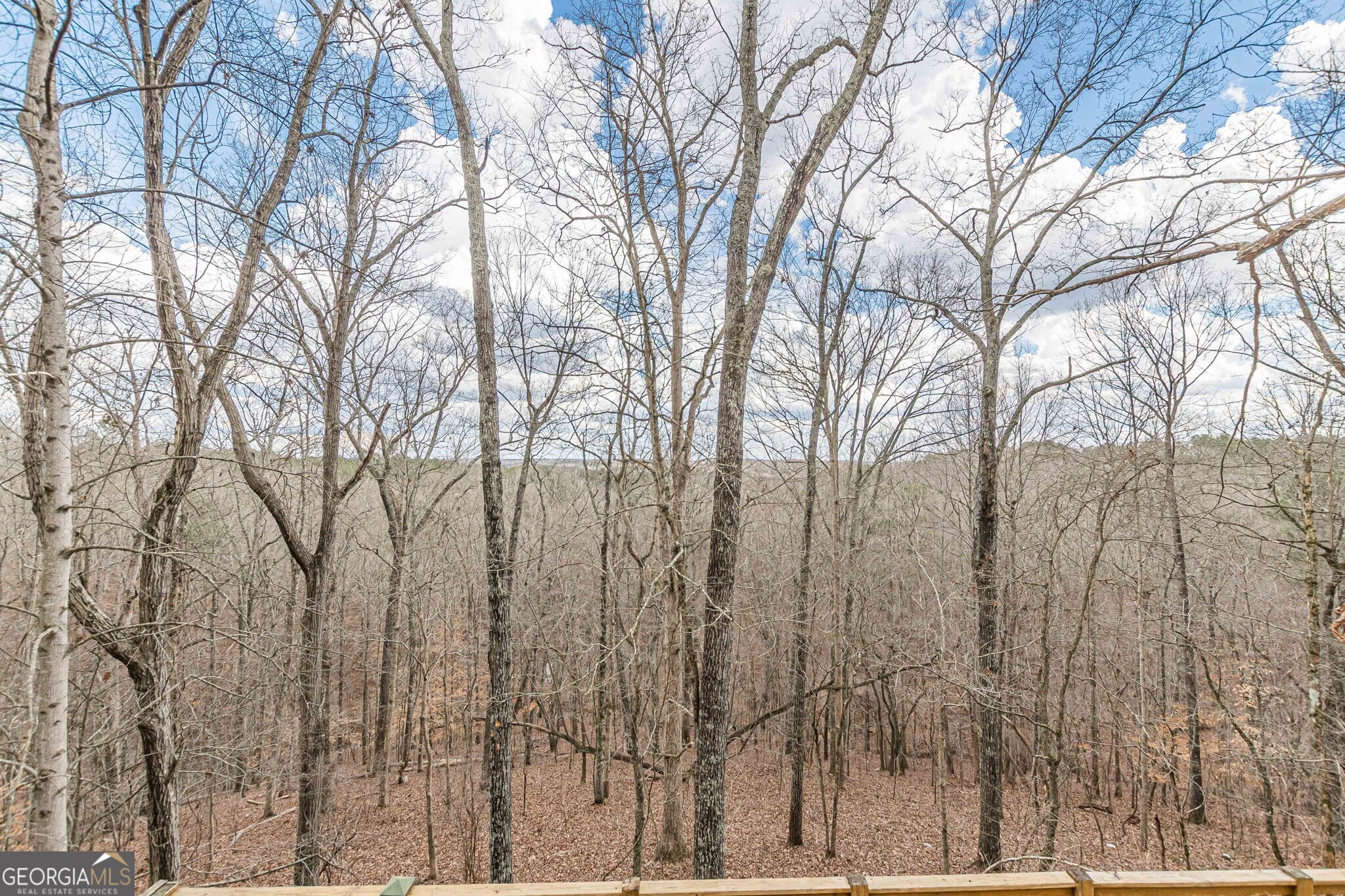 5751 Five Notch Trail Property Photo 33