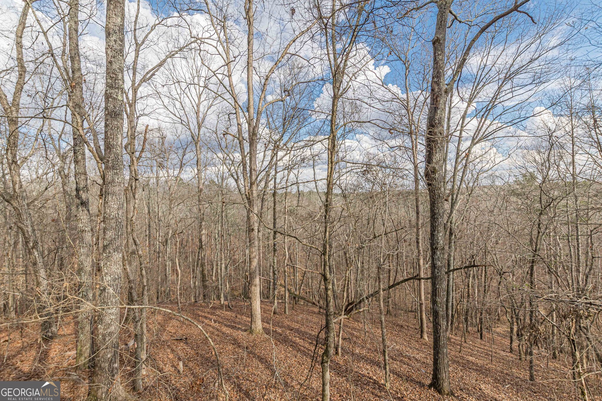 5751 Five Notch Trail Property Photo 37