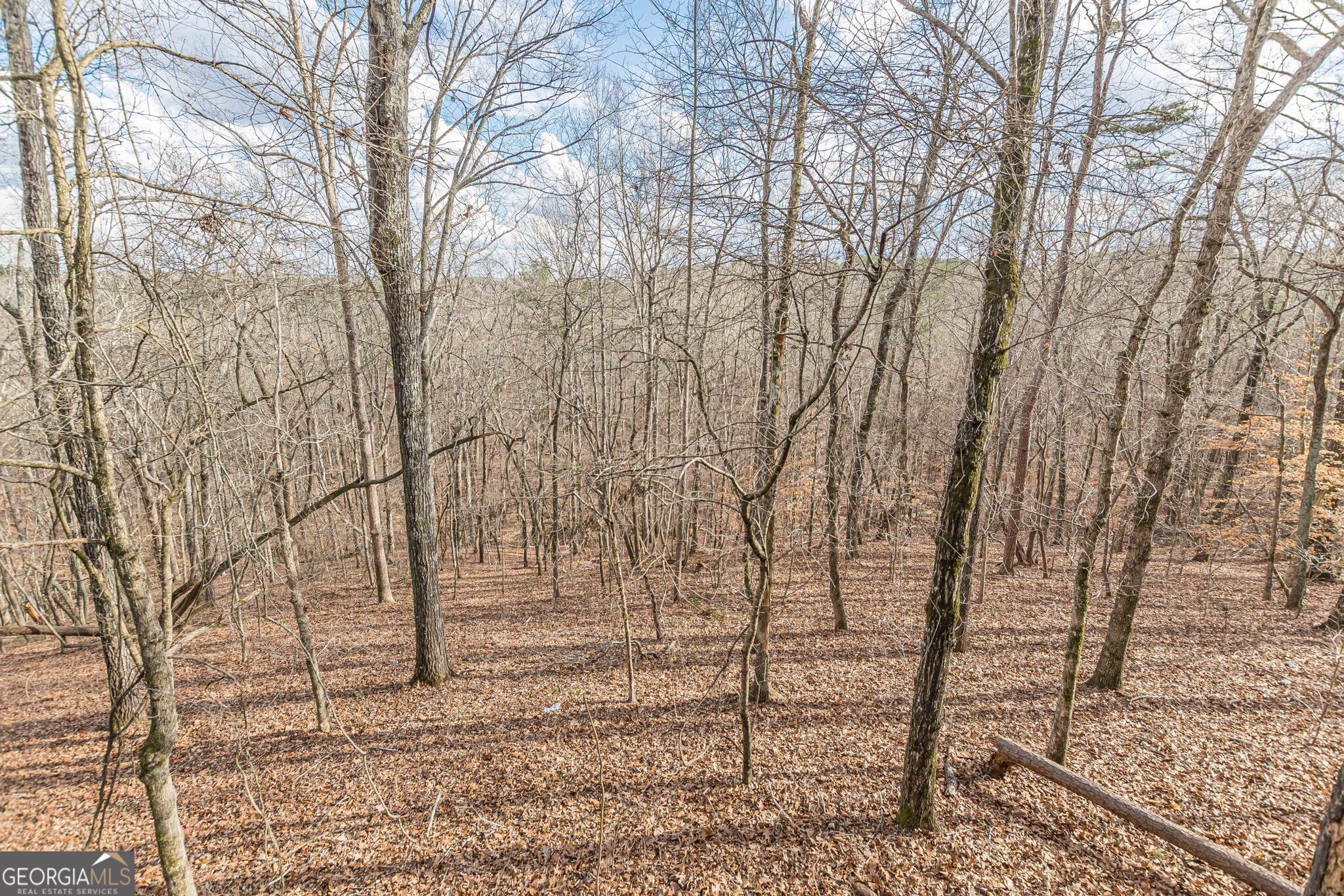 5751 Five Notch Trail Property Photo 38