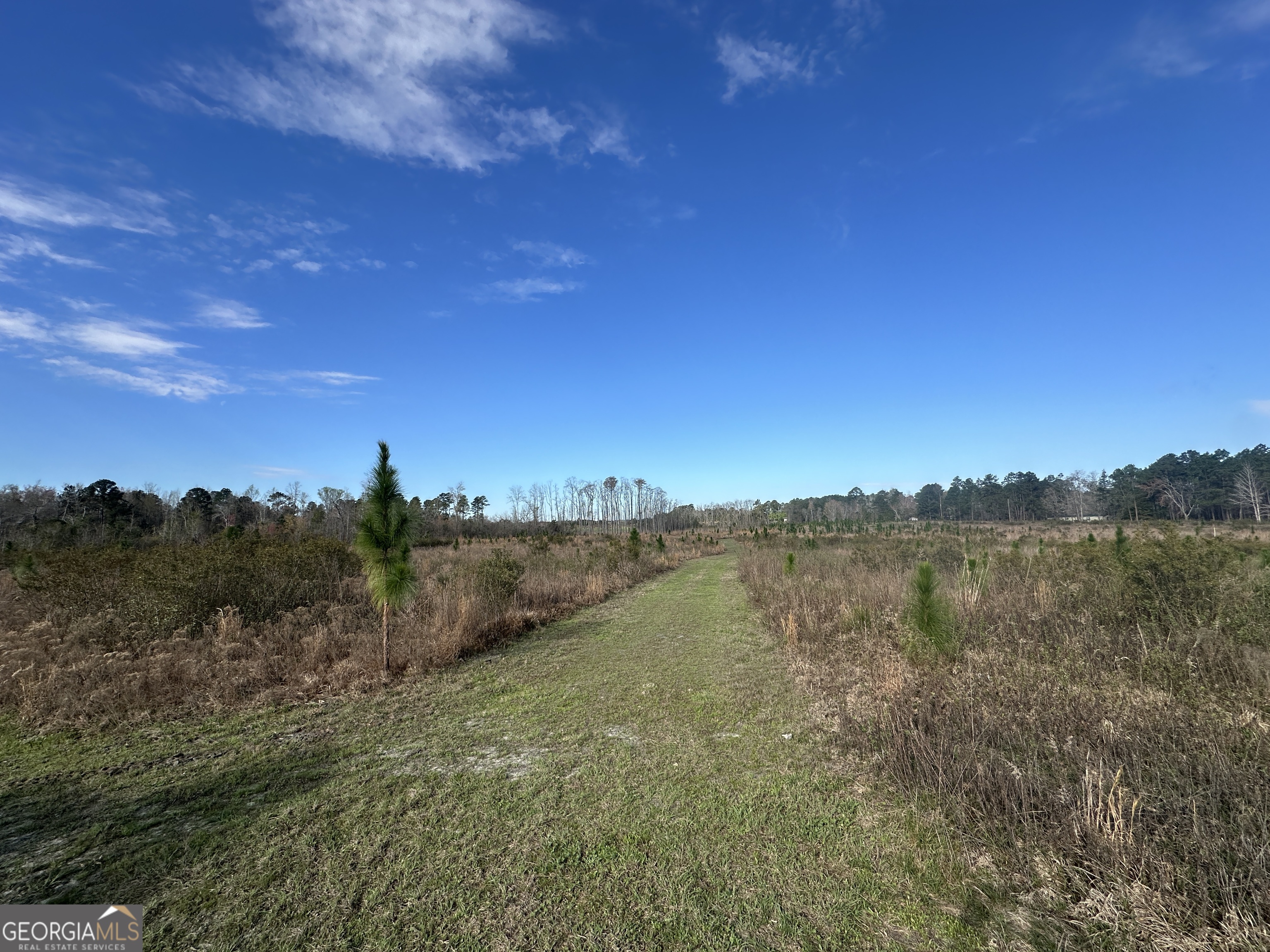 1334 Shady Lane Property Photo 1