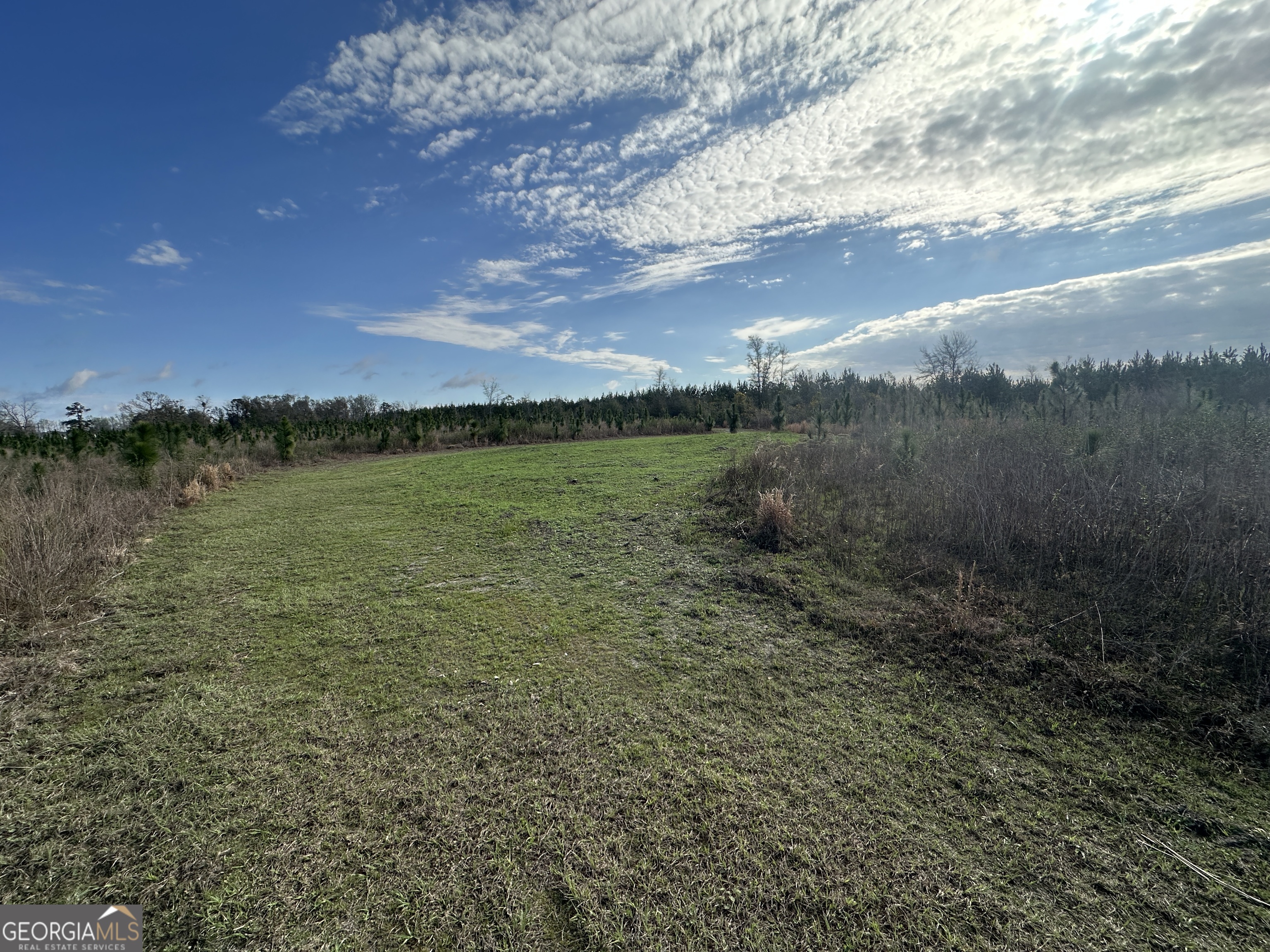 1334 Shady Lane Property Photo 19