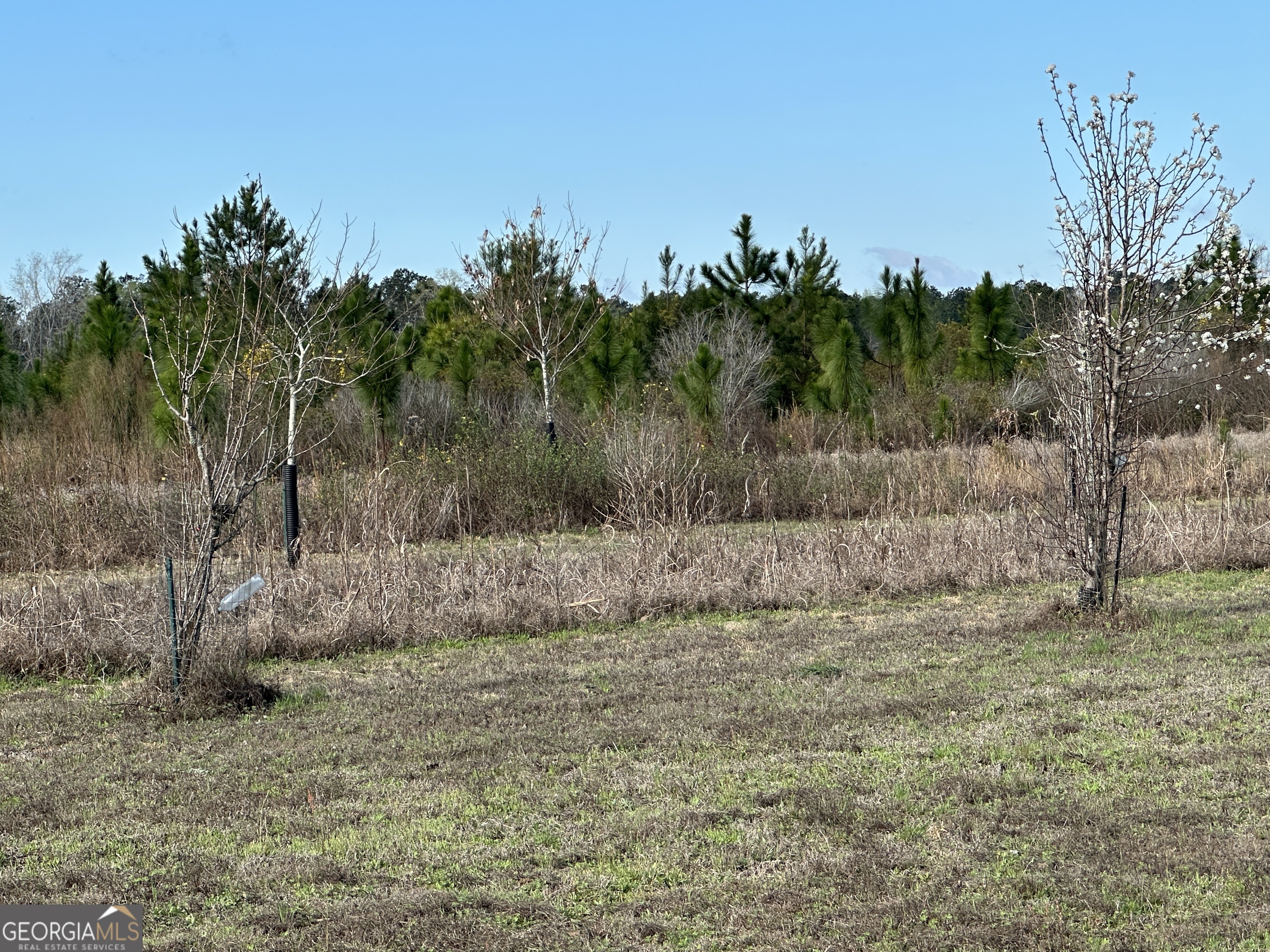 1334 Shady Lane Property Photo 25