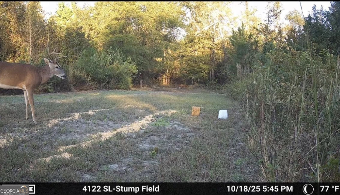 1334 Shady Lane Property Photo 39