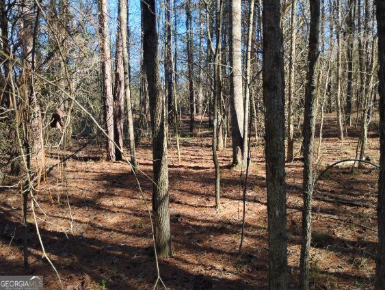 2331 Kesler Road Property Photo 16