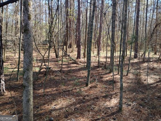 2331 Kesler Road Property Photo 17