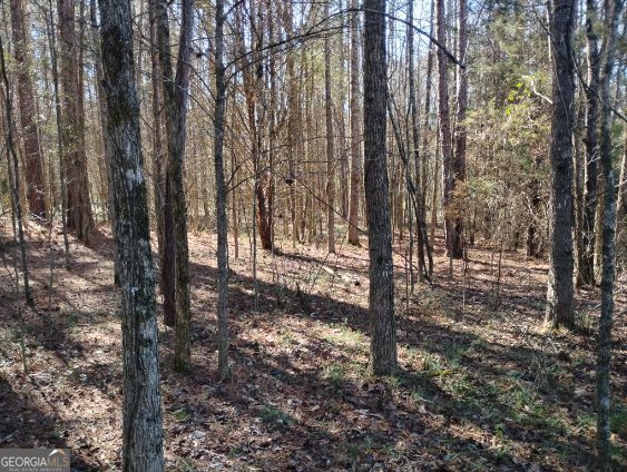 2331 Kesler Road Property Photo 18