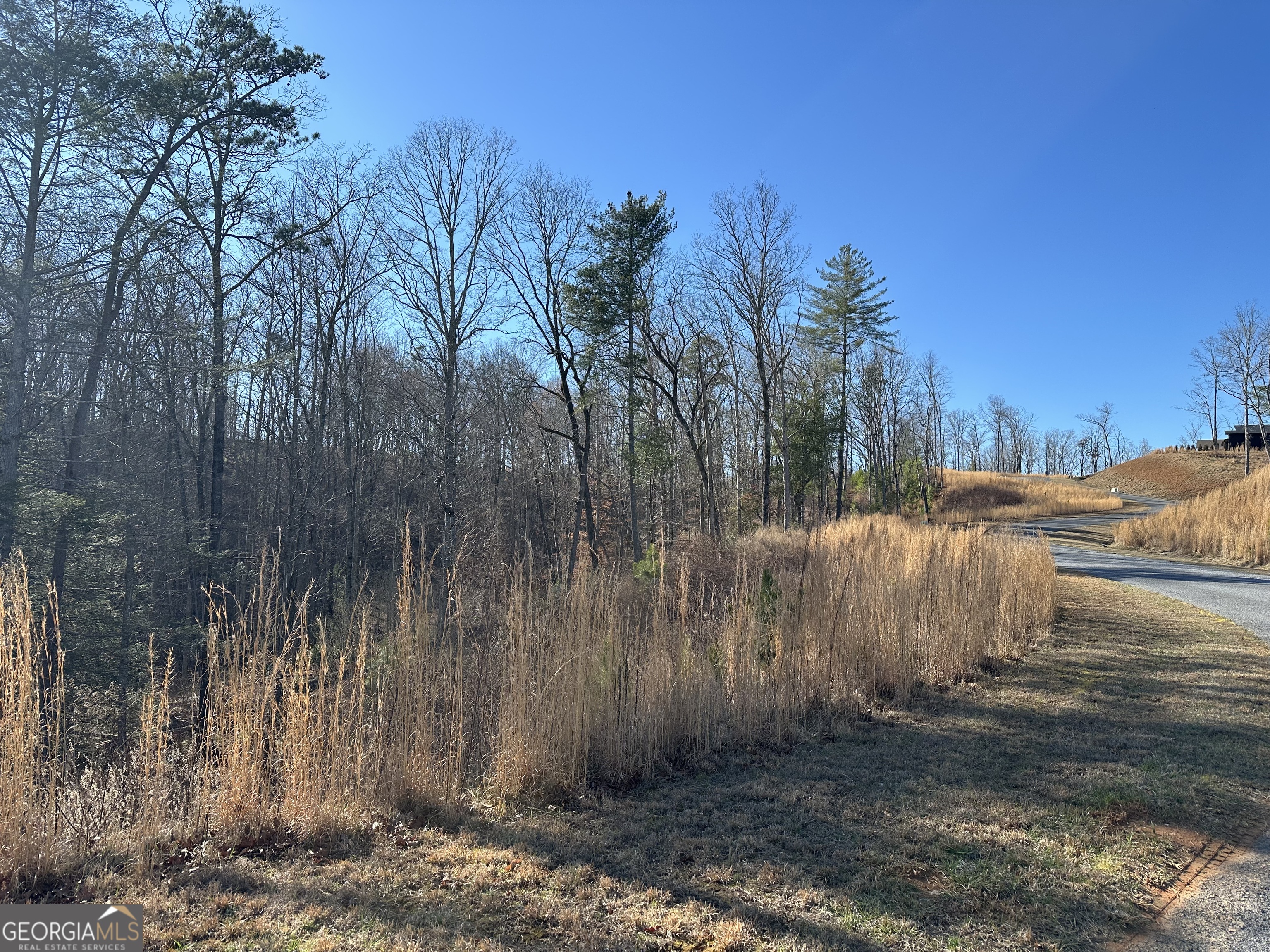 77 River Overlook Lane S