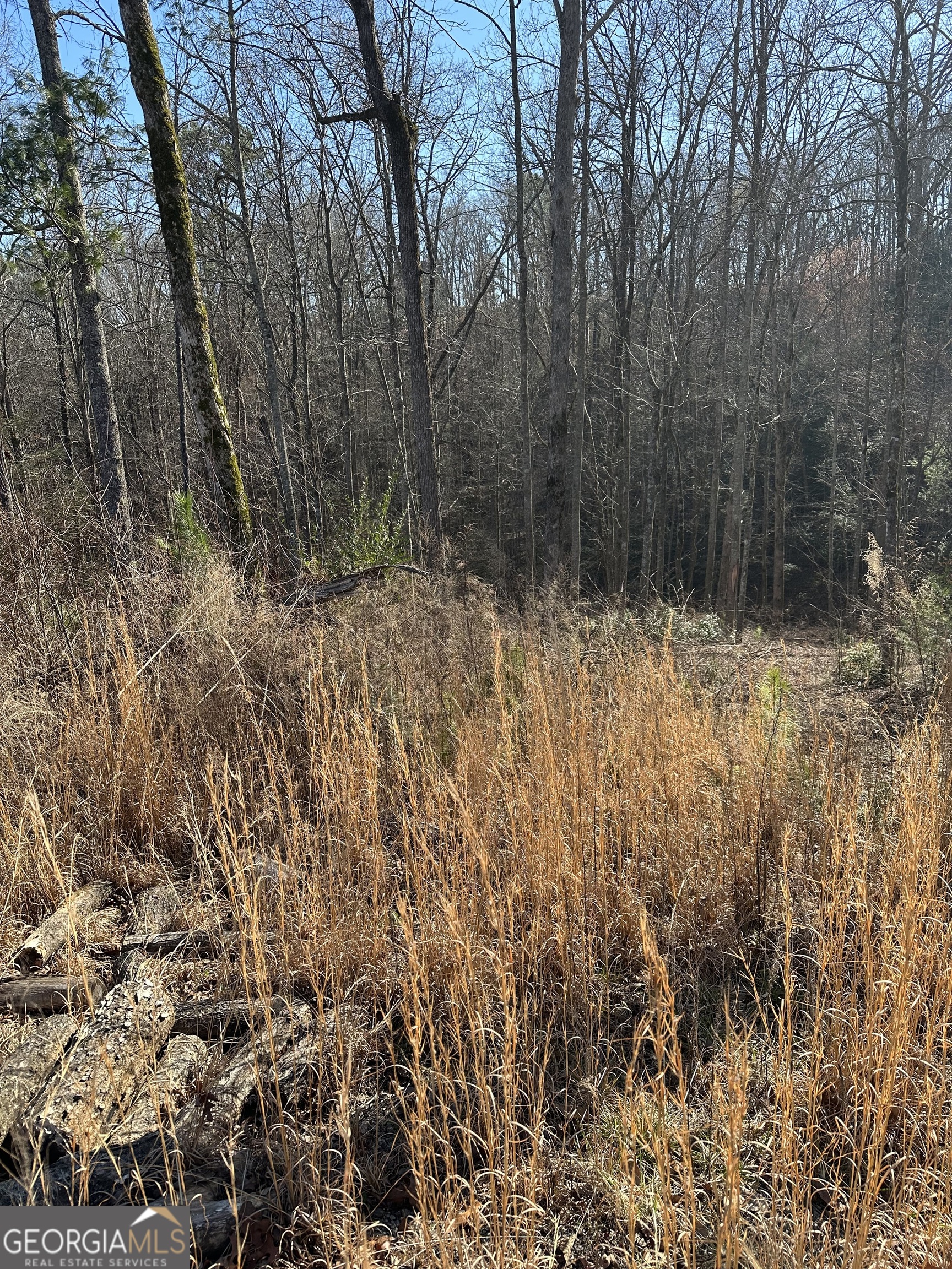 77 River Overlook Lane S Property Photo 5