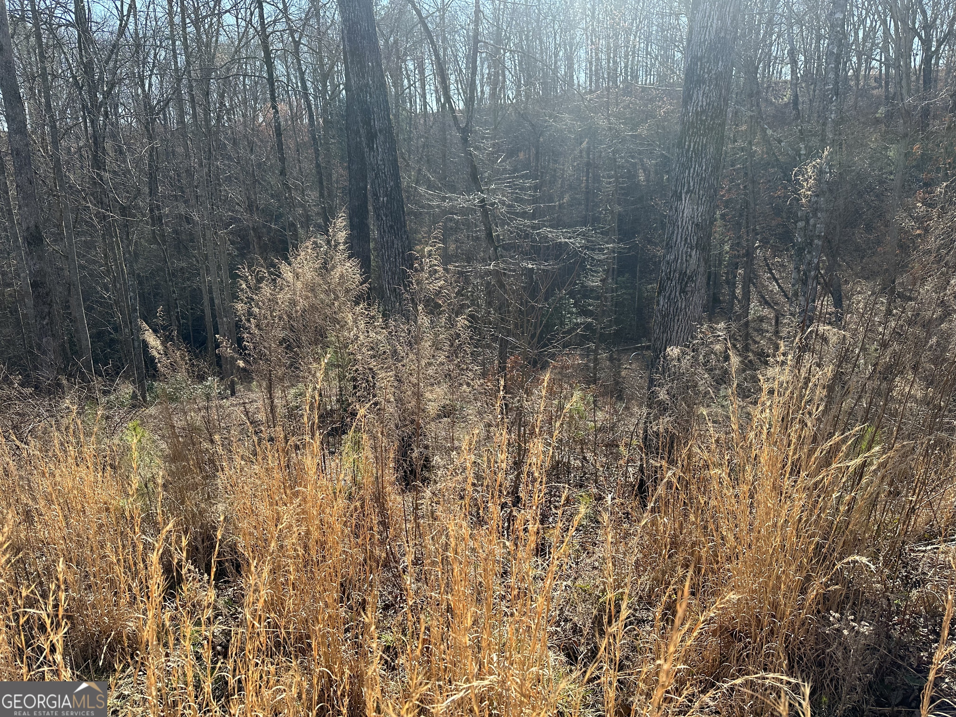 77 River Overlook Lane S Property Photo 10