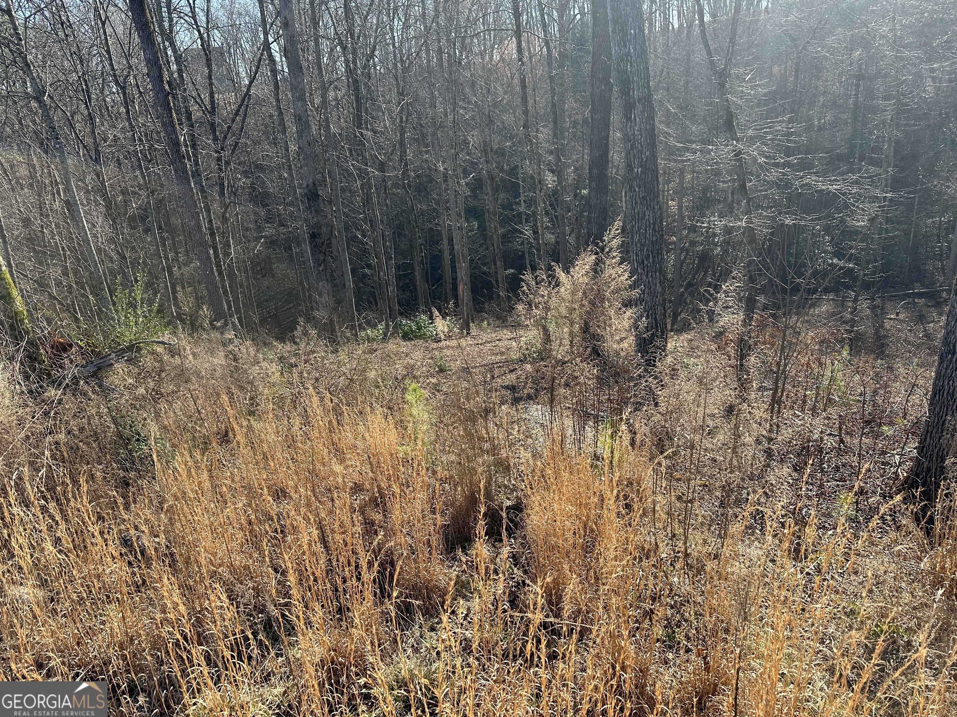 77 River Overlook Lane S Property Photo 11