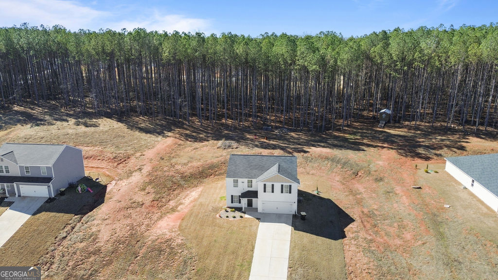 1443 Hunter Welch Parkway Property Photo 32