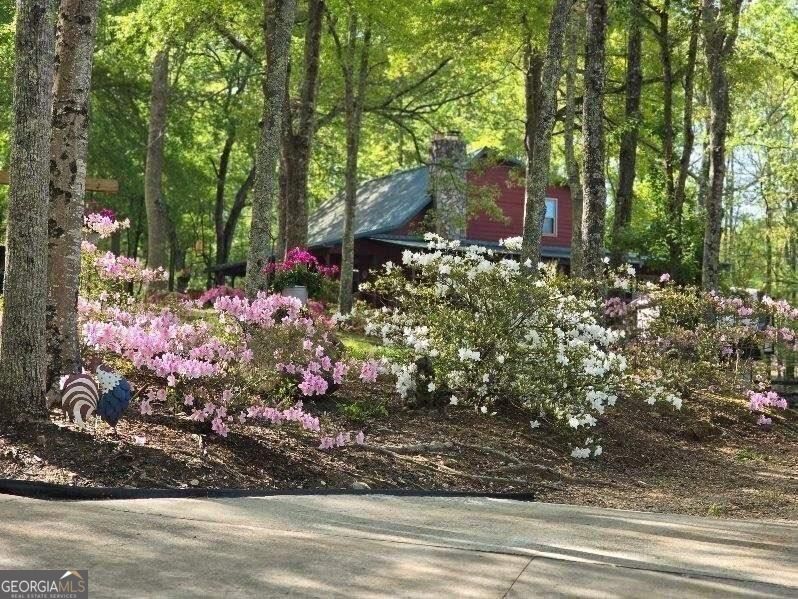 5419 Tyree Road Property Photo 51
