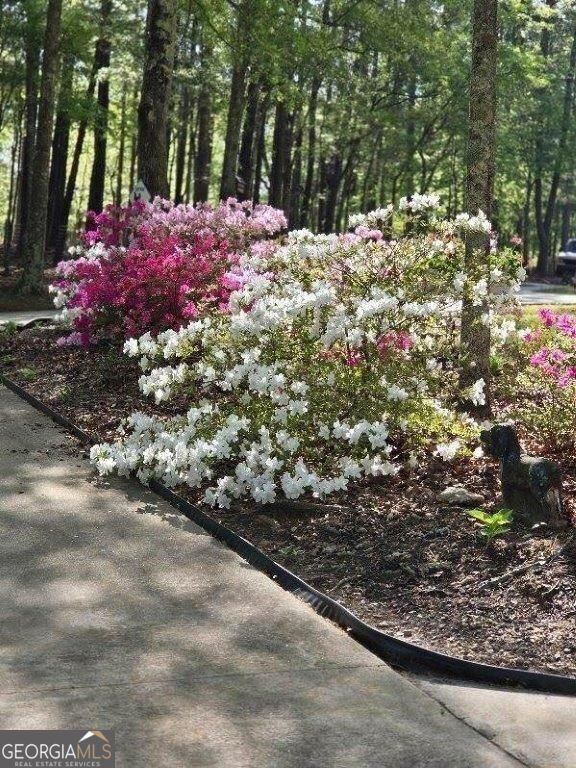 5419 Tyree Road Property Photo 52