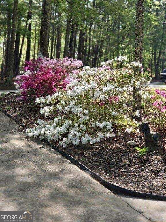 5419 Tyree Road Property Photo 52