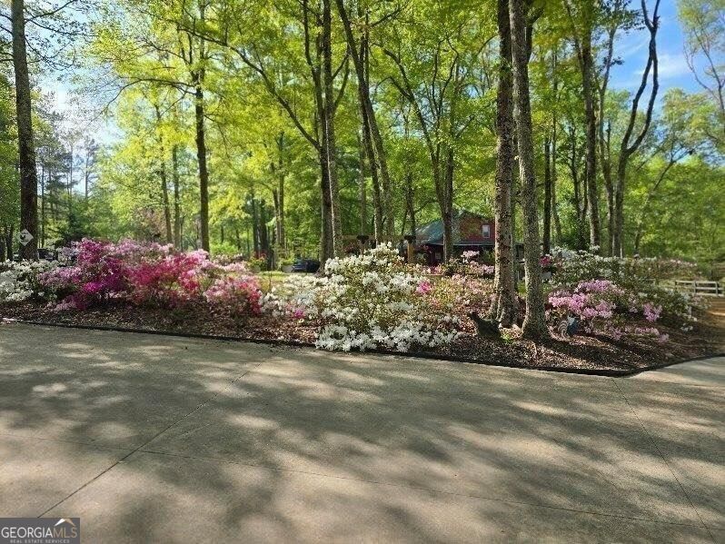 5419 Tyree Road Property Photo 53