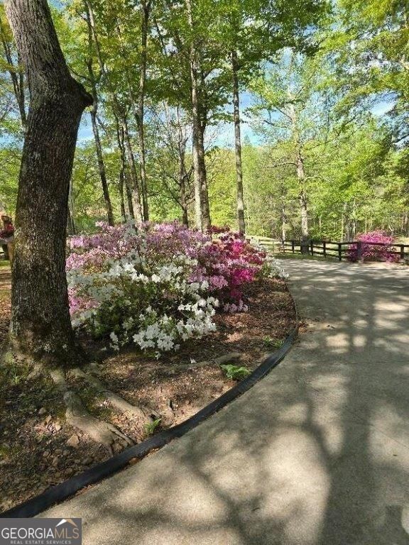 5419 Tyree Road Property Photo 54