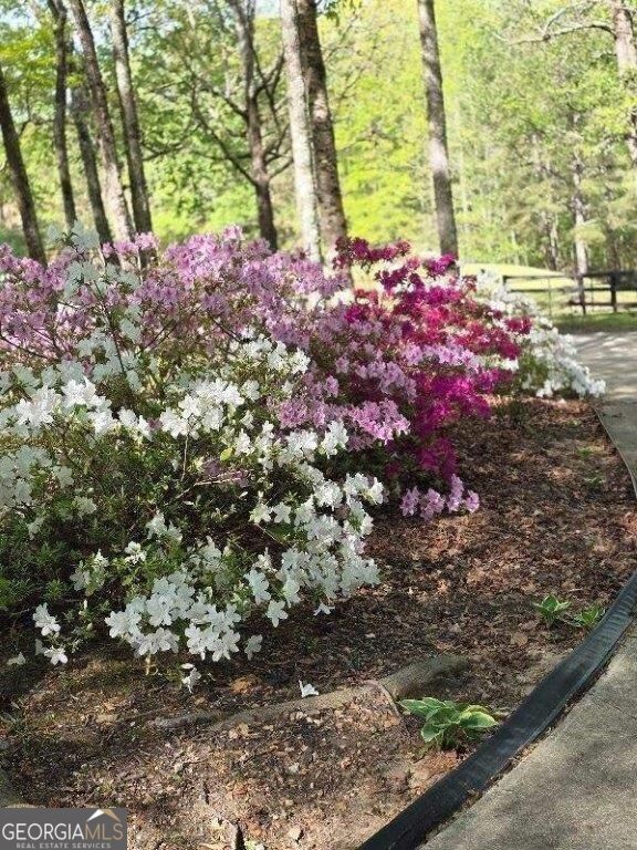 5419 Tyree Road Property Photo 58
