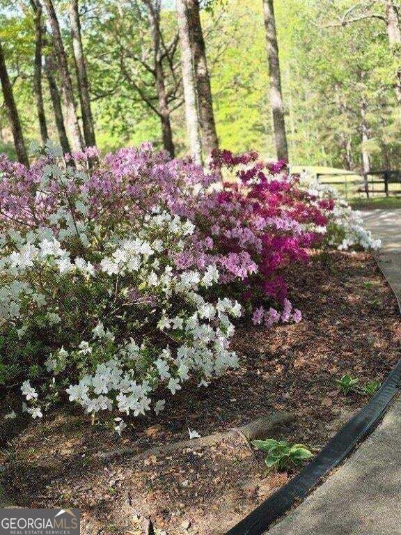 5419 Tyree Road Property Photo 58