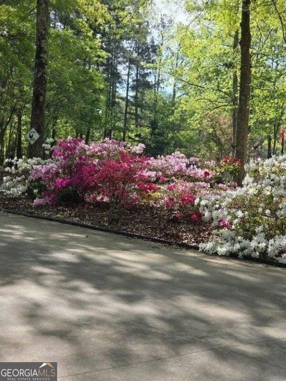 5419 Tyree Road Property Photo 59