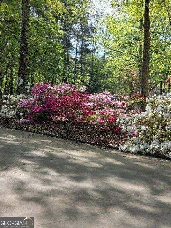 5419 Tyree Road Property Photo 59