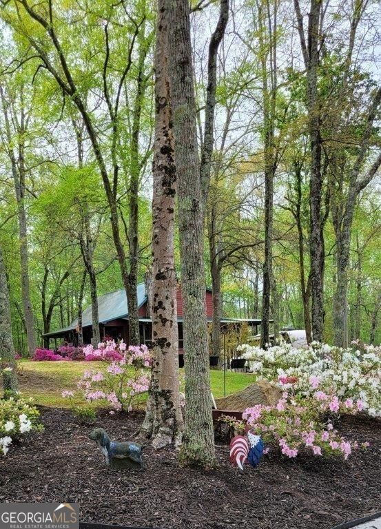 5419 Tyree Road Property Photo 64