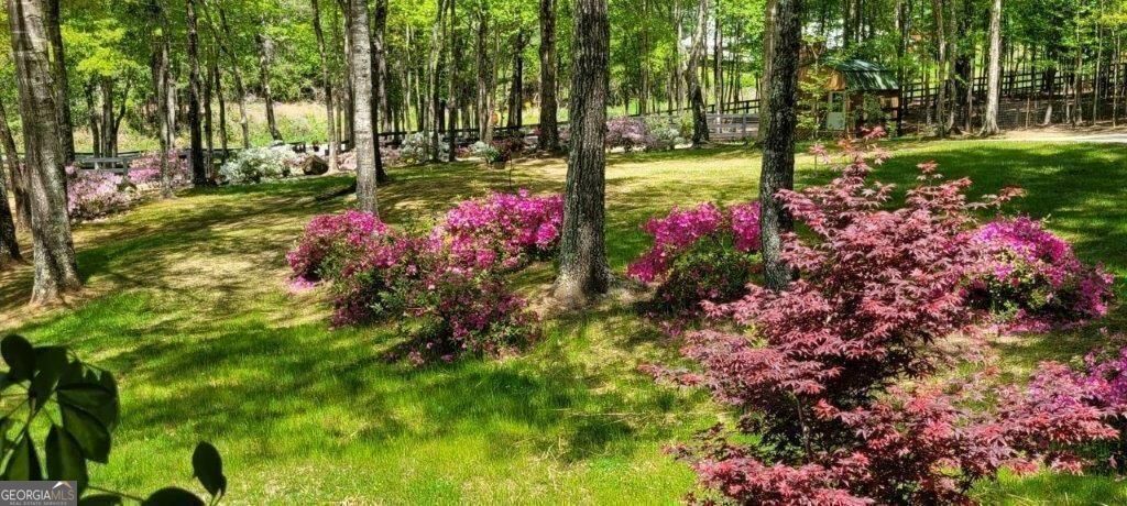 5419 Tyree Road Property Photo 69