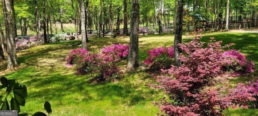 5419 Tyree Road Property Photo 69