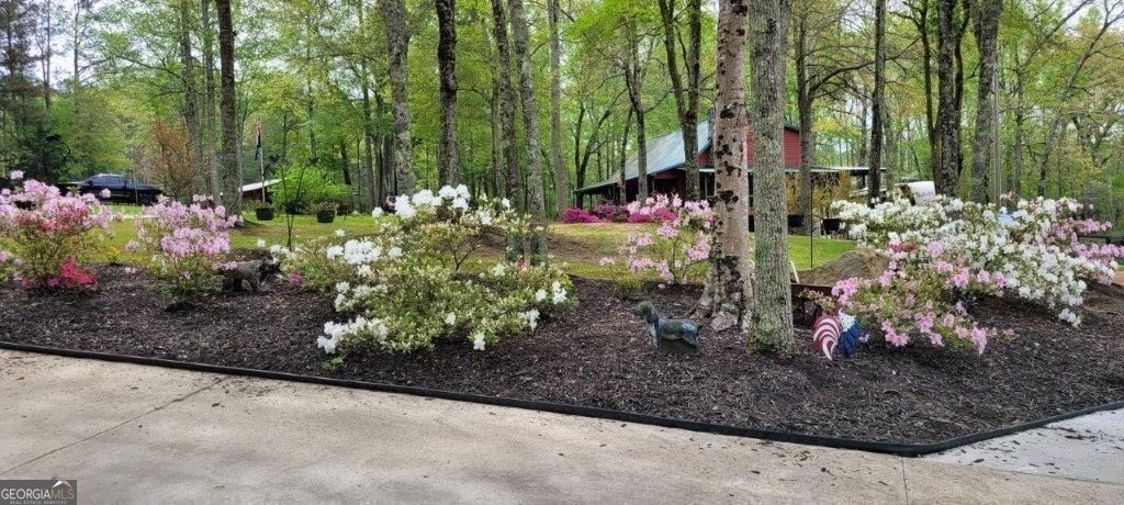 5419 Tyree Road Property Photo 70