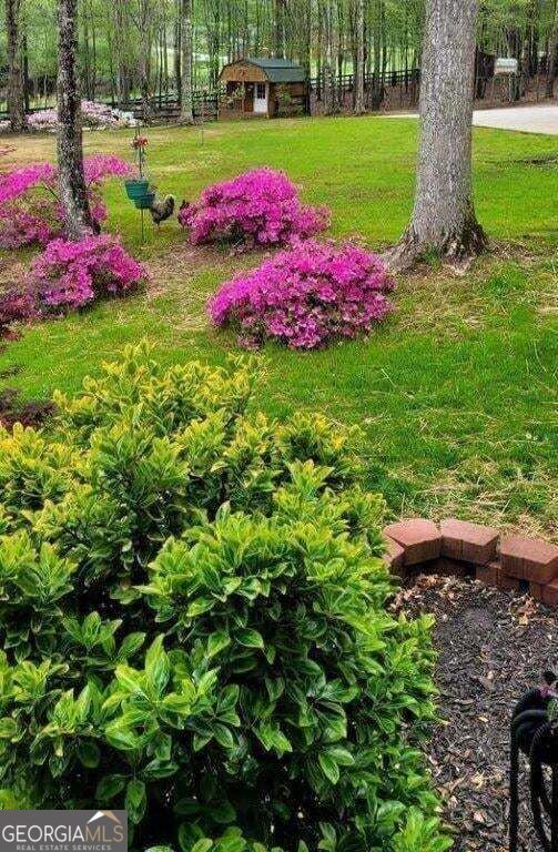 5419 Tyree Road Property Photo 71