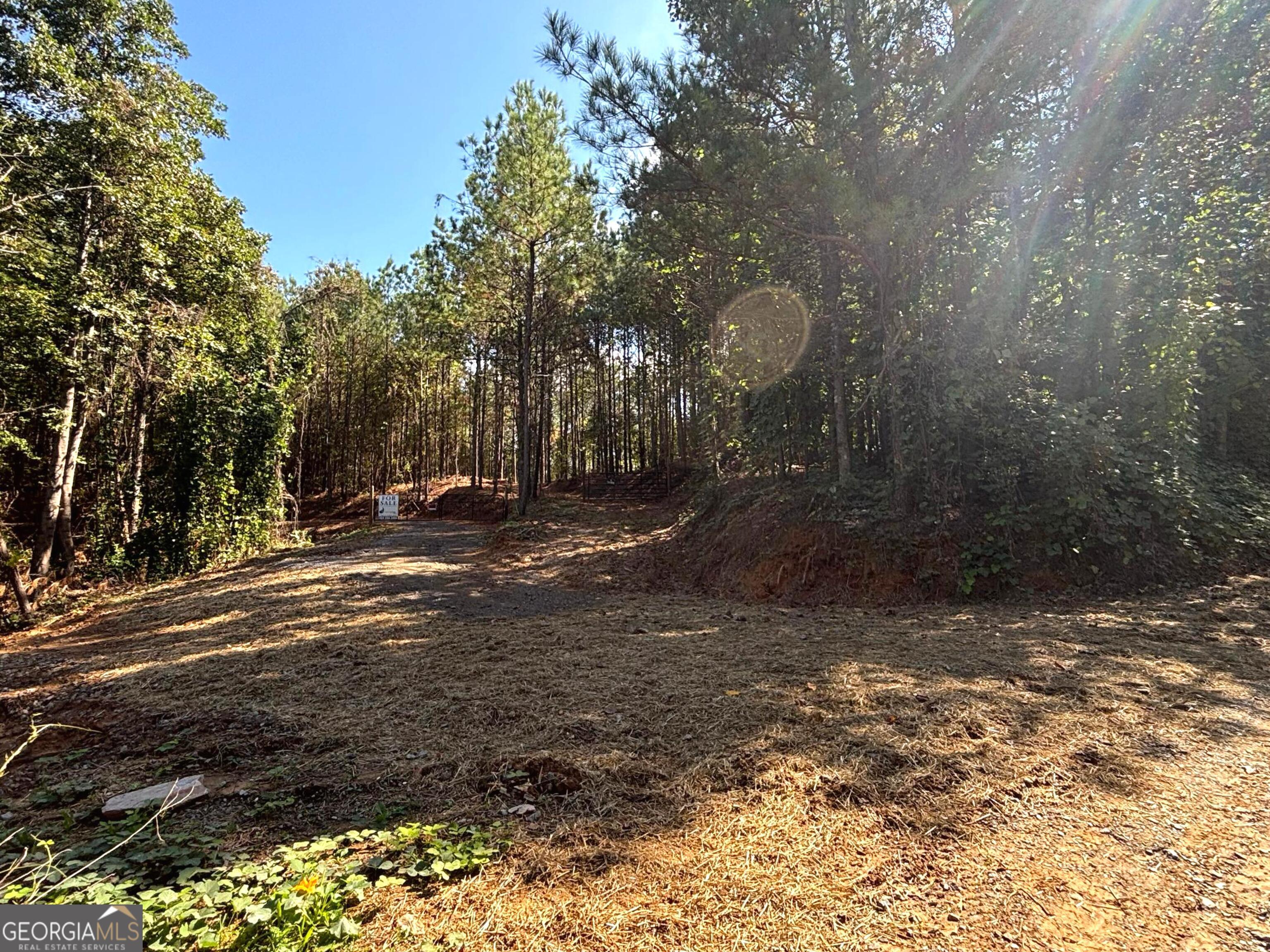 1 East Dry Pond Road Lot 1 Property Photo 10