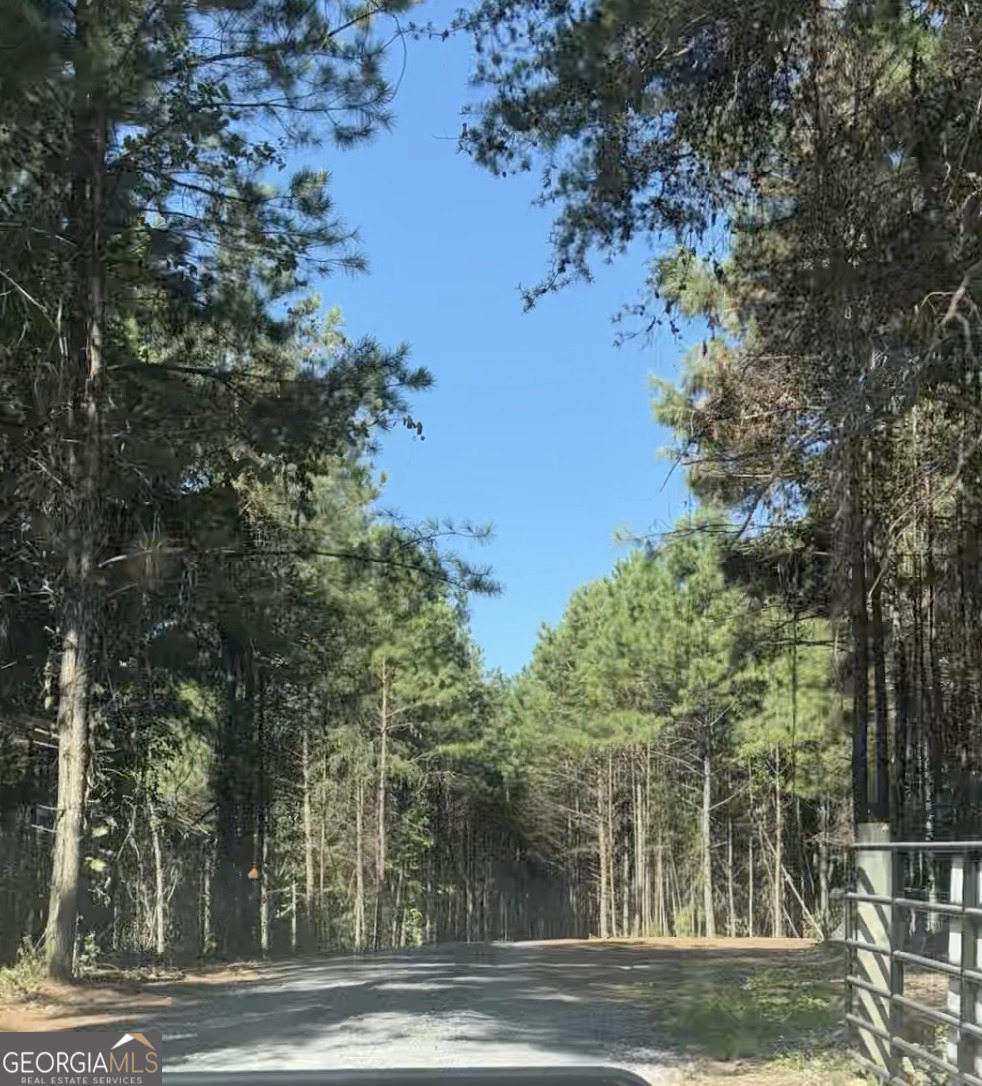 2 West Dry Pond Road Lot 2 Property Photo 3