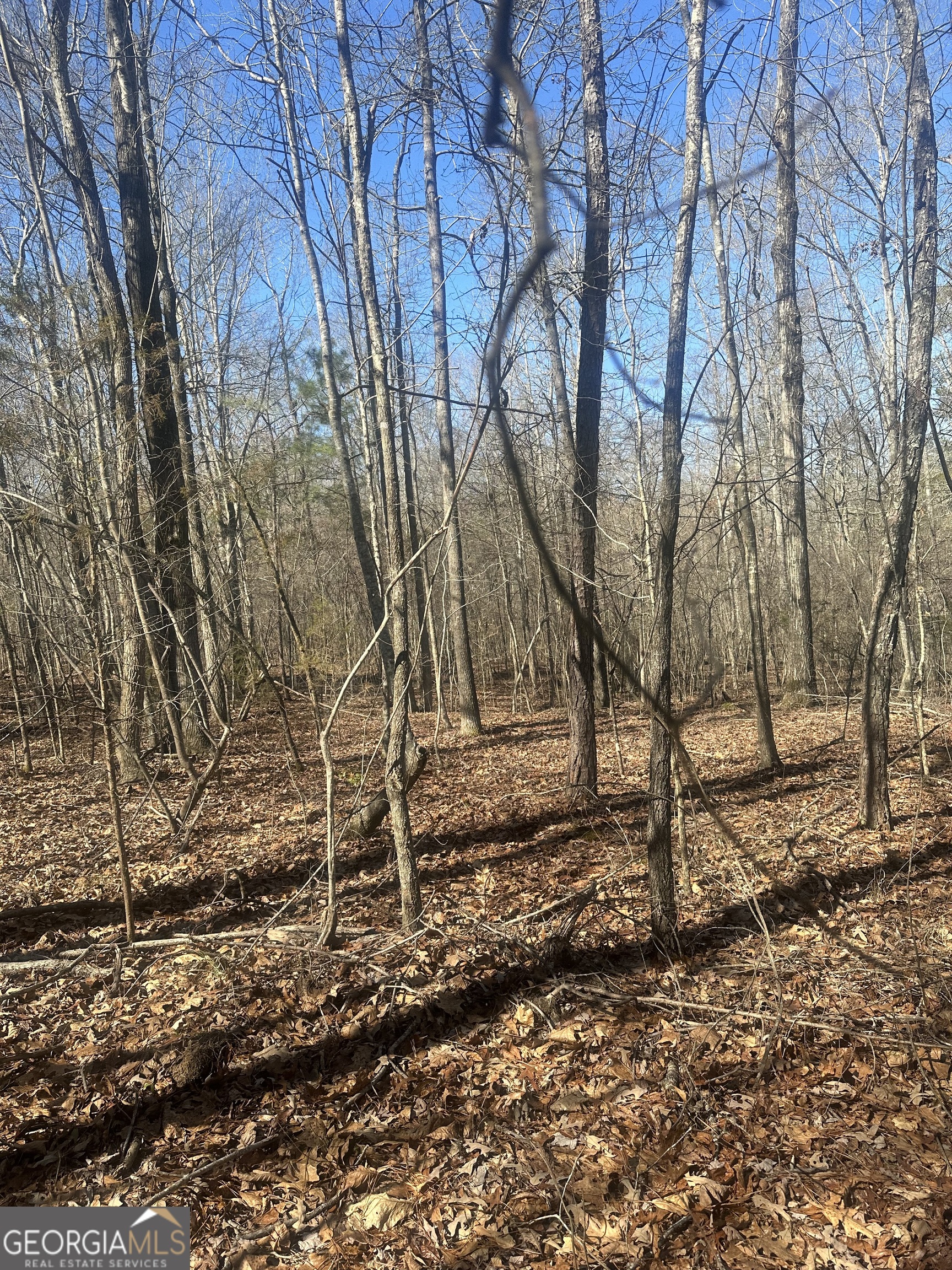 0 Summit View Road Property Photo 3