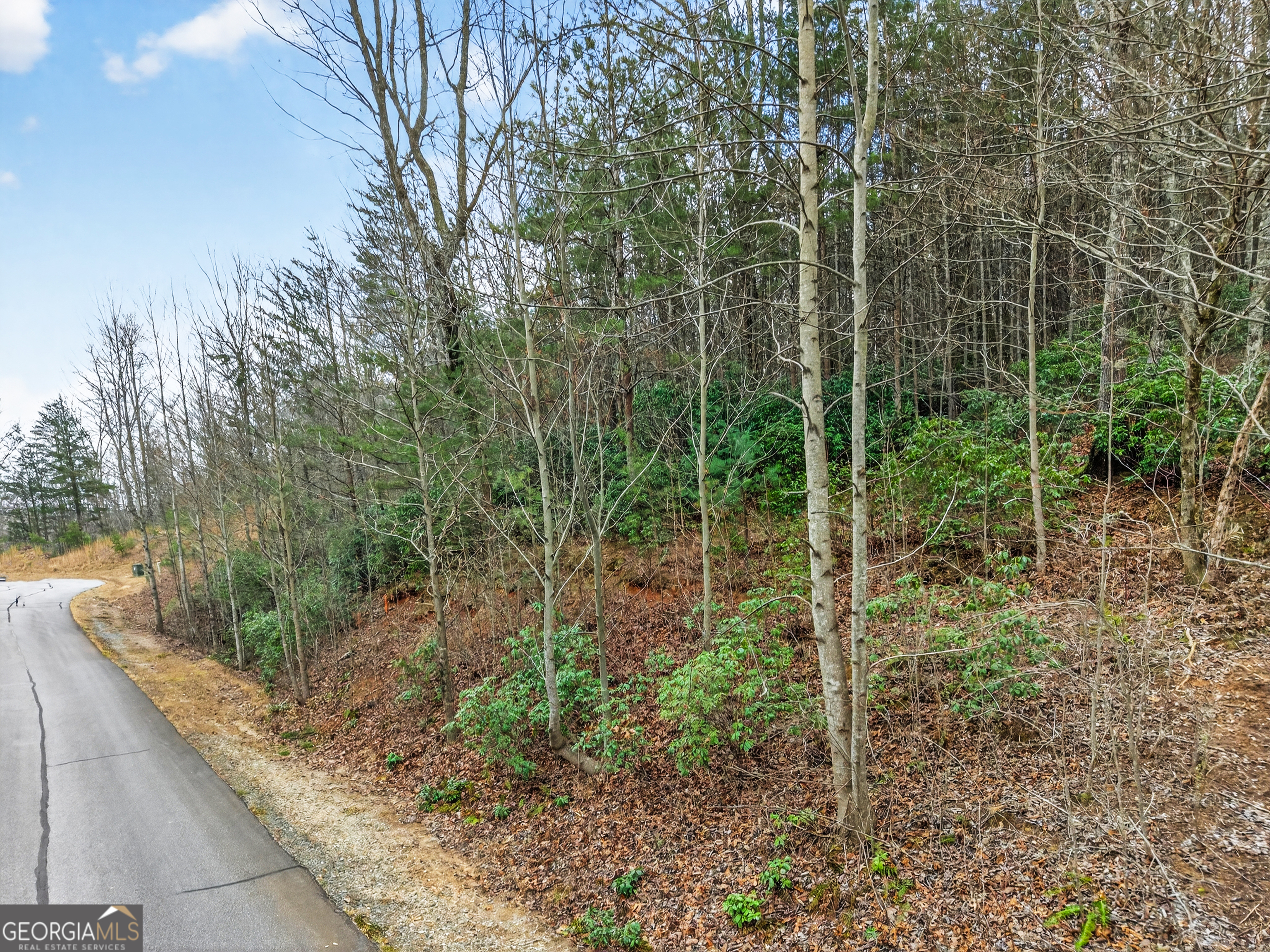 252 S Laceola Road Property Photo 28