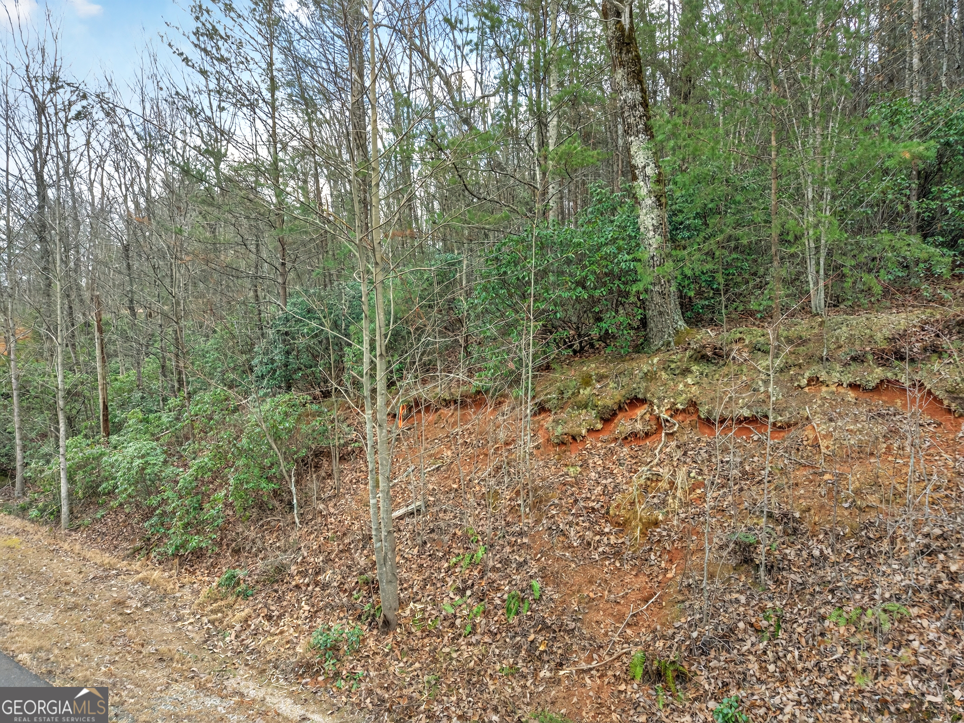 252 S Laceola Road Property Photo 30