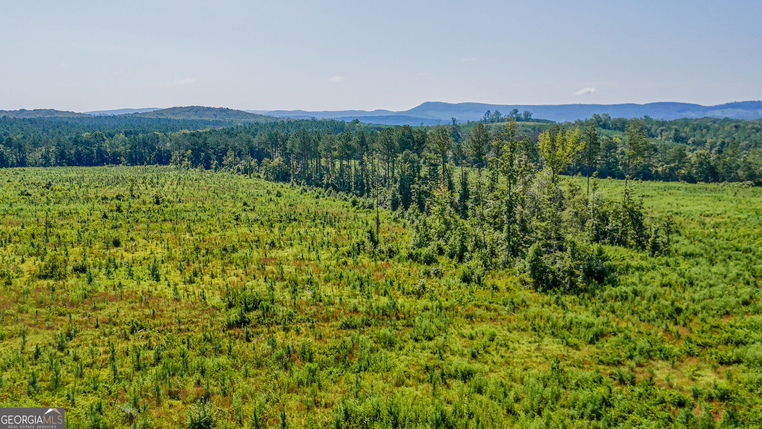 Lot 1 Back Valley Road Property Photo 3