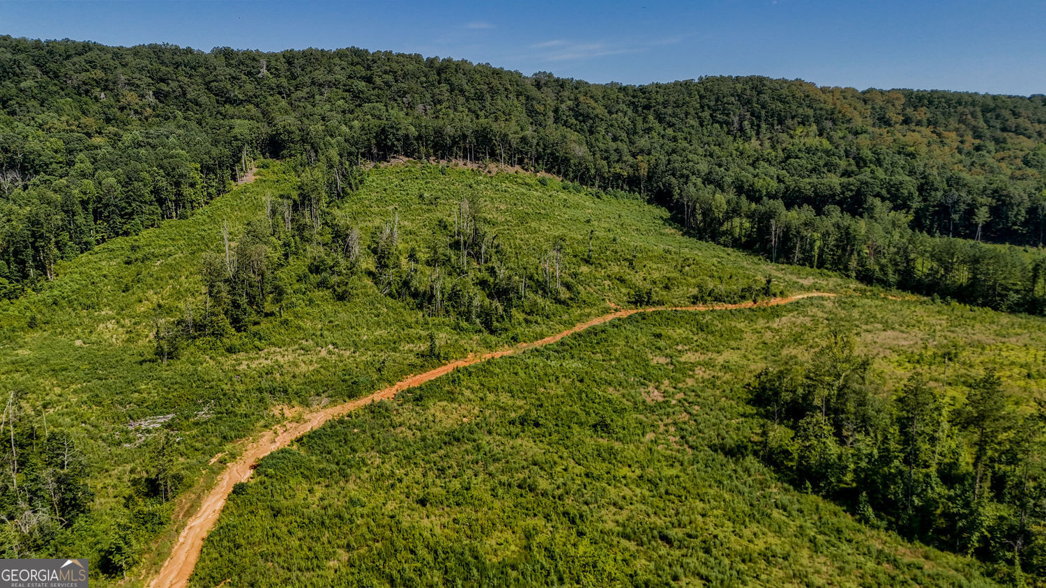 Lot 1 Back Valley Road Property Photo 9