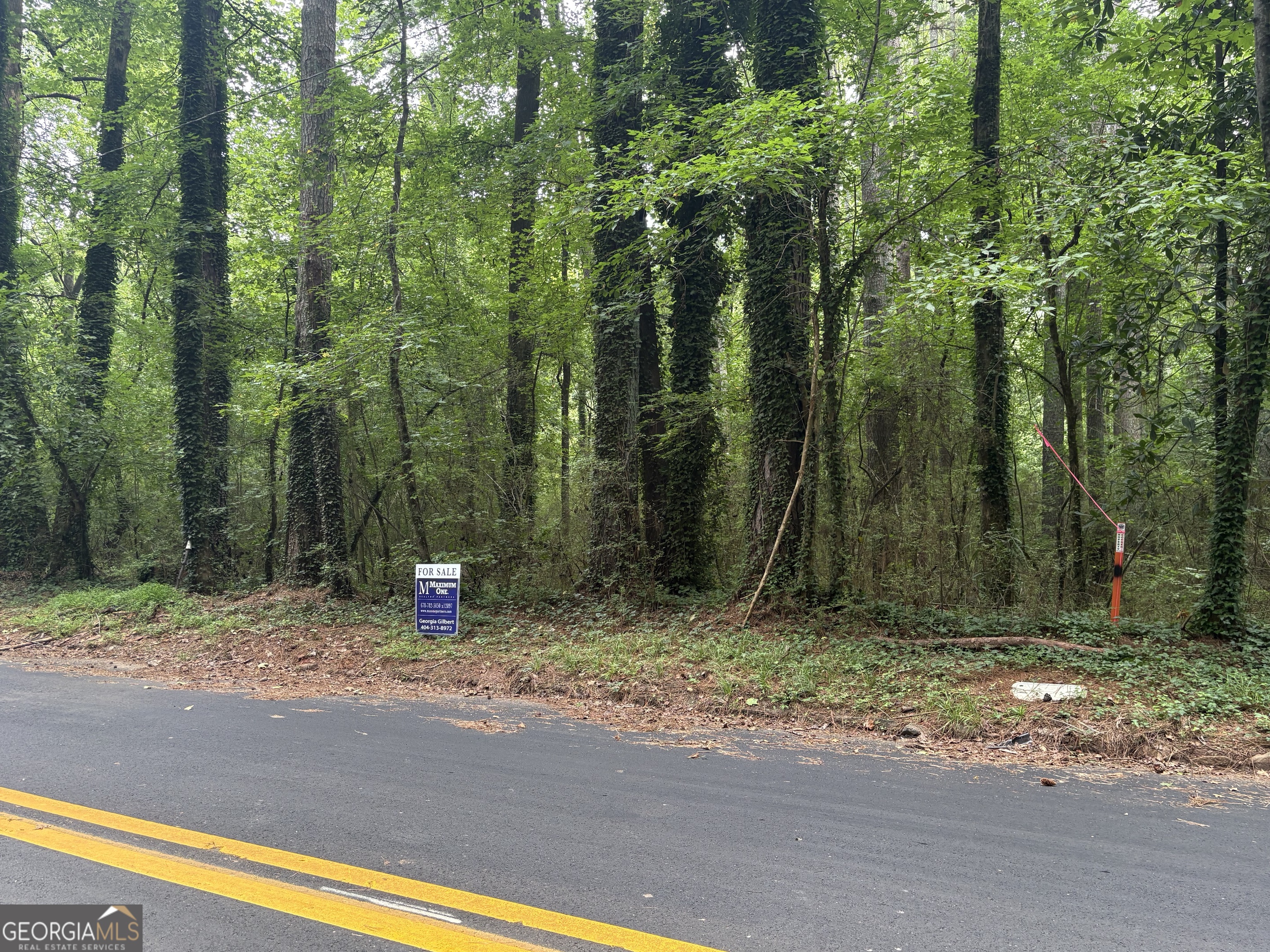0 Adams Drive Sw Property Photo 1