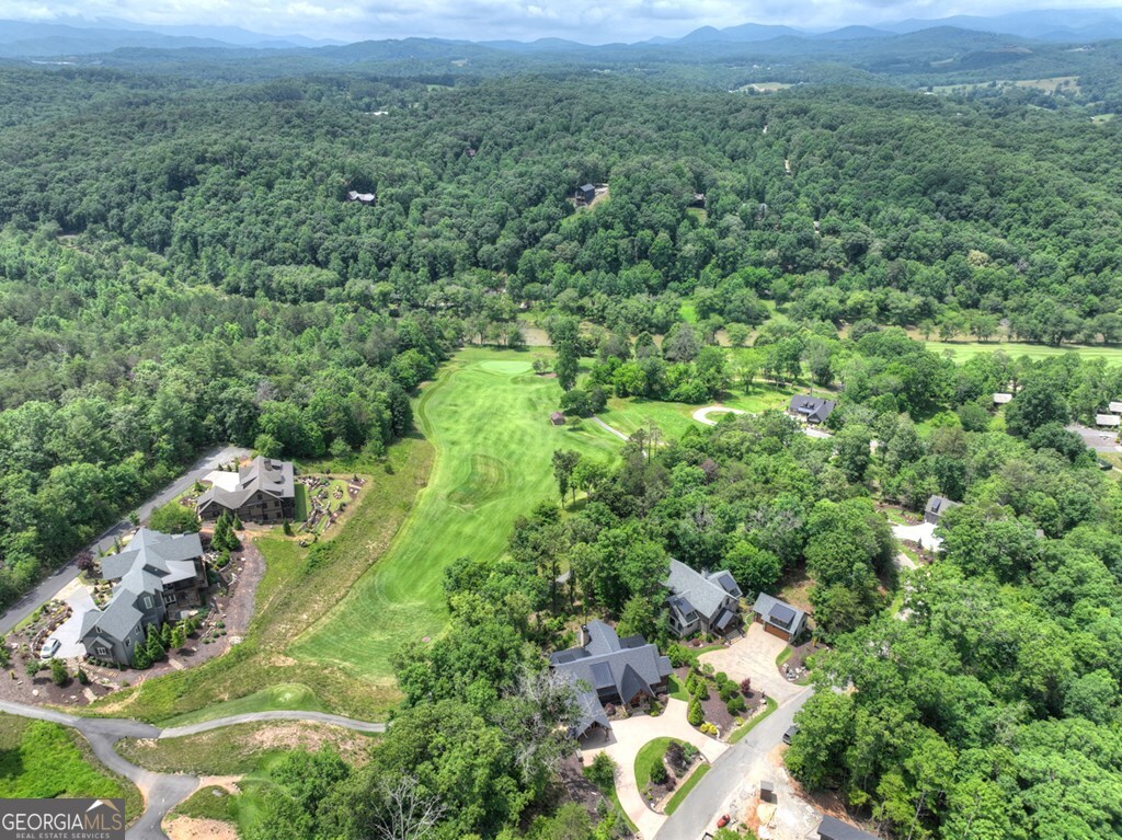 658 Old Toccoa Loop Property Photo 69