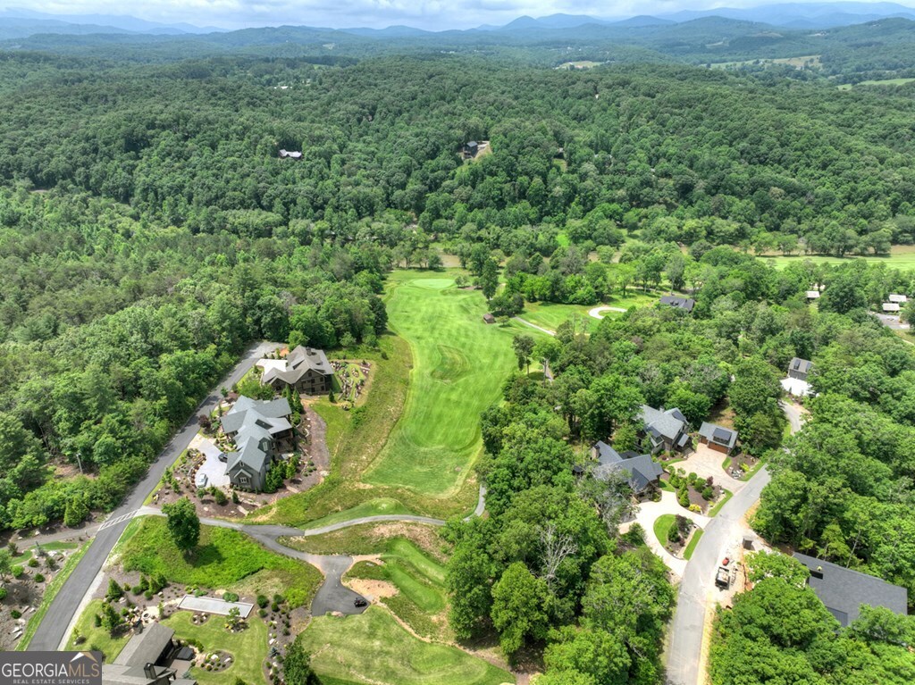 658 Old Toccoa Loop Property Photo 70