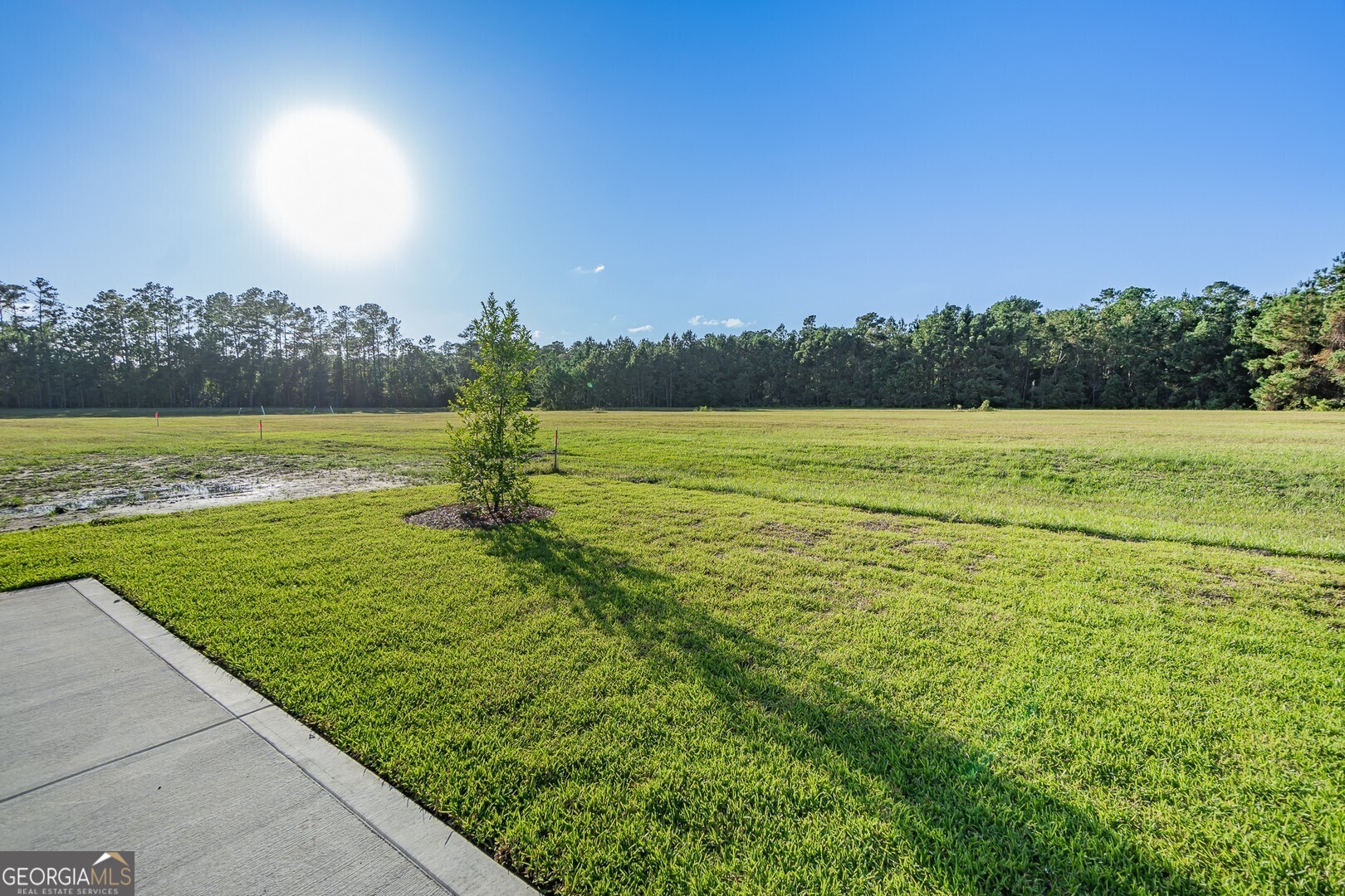 133 Amanda Trace Property Photo 51