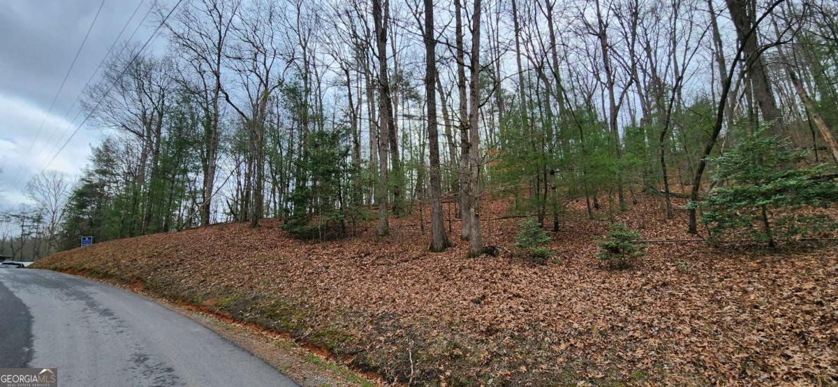 Lot 13 Mangums Trail Property Photo 1